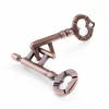 brain teaser, puzzle toy, lock puzzle, brain teaser toy, key lock puzzle, metal brain teaser