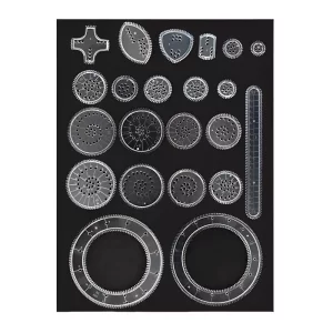 kaleidoscope ruler