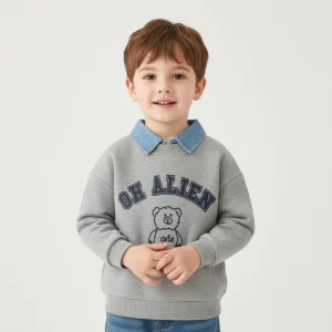 oversized sweatshirt, stylish sweatshirt, sweatshirt with collar