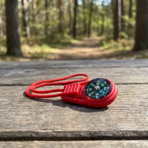 Mini lommekompass-leke for barn